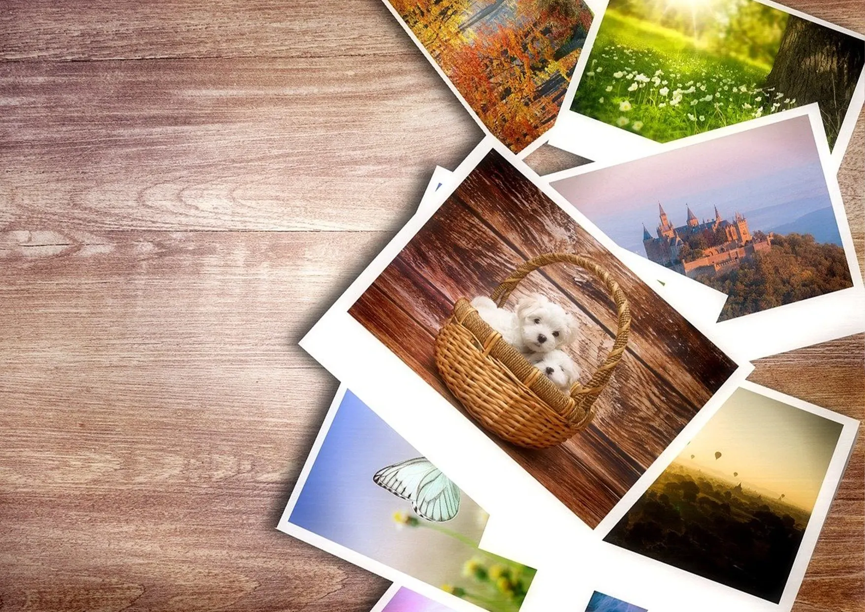 Sur une table sont présentés 3 albums photos personnalisés avec des photos imprimées en couverture.