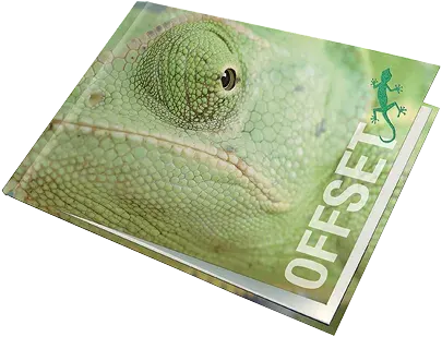 Couverture rigide de livre photo panoramique format paysage montrant la photo d'un caméléon